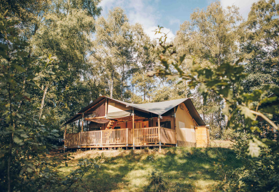 Safari-telt med overdækket veranda i en skovlysning, omgivet af grønne træer og sollys.