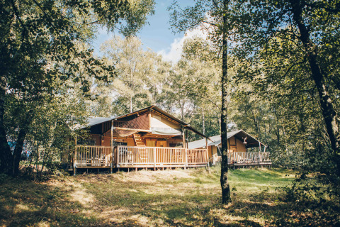 Safari-Zelte auf einer Holzterrasse in einem grünen Wald, umgeben von Bäumen und hellem Sonnenlicht.