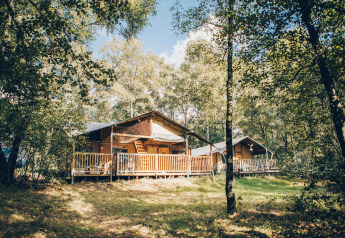 Safari-Zelte auf einer Holzterrasse in einem grünen Wald, umgeben von Bäumen und hellem Sonnenlicht.
