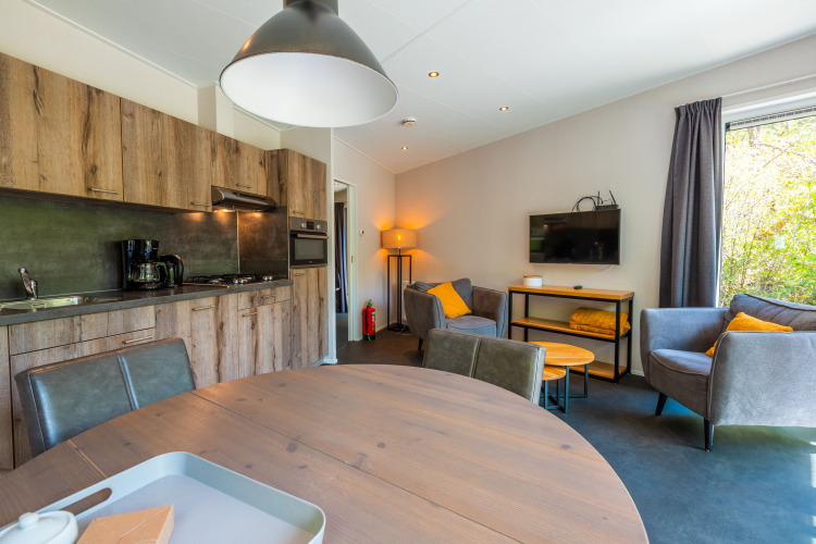 Modernes Wohnzimmer und Küche in der Wellness Lodge im Vakantiepark De Wiltzangh, Niederlande, mit Sofa und TV.