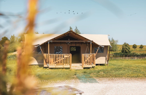 Tenda safari Safarilodge Impala al Vakantiepark IJsselhof nei Paesi Bassi, circondata dal verde.
