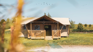 Safari-teltet Safarilodge Impala på Vakantiepark IJsselhof, omgivet af grønne marker i Holland.