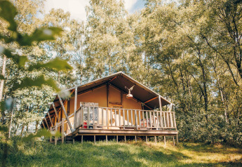 Safari tent on a raised wooden deck, surrounded by lush green trees in a peaceful forest setting.