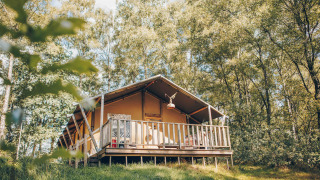 Safari-Zelt auf einer Holzterrasse im Grünen, von Bäumen umgeben, perfekt für ein Naturerlebnis.