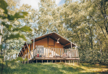 Safari telt på en hævet træterrasse omgivet af grønne træer under blå himmel, ideelt til glamping.