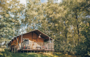 Safari-Zelt bei Wilsumer Berge in Deutschland, umgeben von dichten Bäumen an einem sonnigen Tag im Wald.