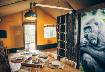 Interior view of a safari tent at Wilsumer Berge in Germany, with dining area and gorilla wall art.