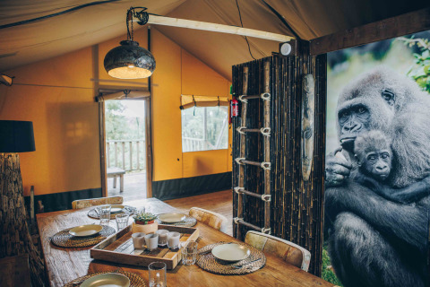 Indvendigt billede af en safaritelt ved Wilsumer Berge i Tyskland med spisestue og gorillafoto.