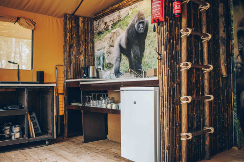 Safari-Zeltküche in Wilsumer Berge, Deutschland, mit Bambusdekor und Gorilla-Bild an der Wand.