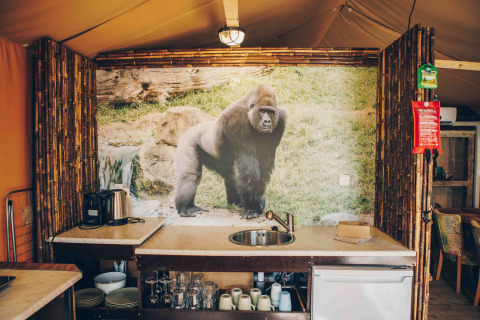 Küche im Safari-Zelt bei Wilsumer Berge, Deutschland, mit großem Gorilla-Bild an der Rückwand.