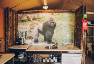Køkken i safaritelt ved Wilsumer Berge i Tyskland med stor gorilla-billede på bagvæggen.
