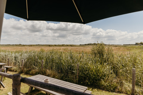 View over a grassy field from a wooden picnic table under an umbrella at Rescue cottage, Duynpark Het Zwanenwater.