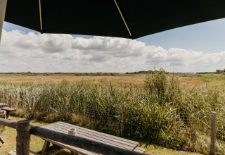 View over a grassy field from a wooden picnic table under an umbrella at Rescue cottage, Duynpark Het Zwanenwater.