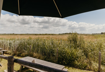 View over a grassy field from a wooden picnic table under an umbrella at Rescue cottage, Duynpark Het Zwanenwater.