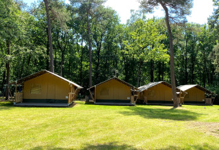 Quatre tentes glamping sur pelouse entourée de forêt à Vakantiepark Bonte Vlucht, Utrecht, Pays-Bas.