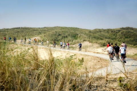 Ciclistas recorren un sendero arenoso y rodeado de pasto cerca de Hollum, Frisia, Países Bajos, bajo cielo azul.