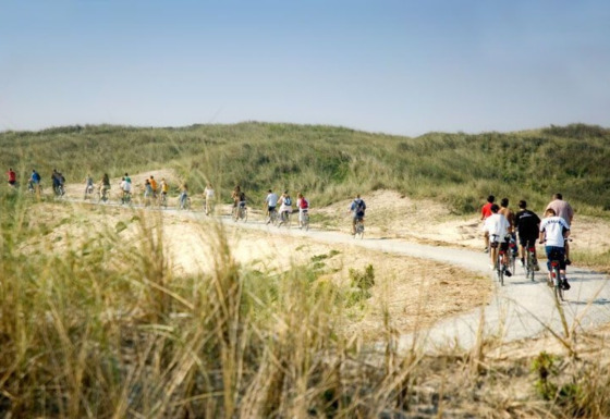 Radfahrer fahren auf einem Weg durch Dünenlandschaft bei Hollum, Friesland, Niederlande, an einem klaren Tag.