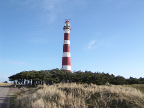Leuchtturm mit roten und weißen Streifen bei Hollum in Friesland, Niederlande, umgeben von Dünen und Kiefern.