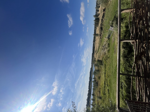 Udsigt fra en lille hytte ved Holiday park Eigen Wijze i Holland med grønne marker og en blå himmel.