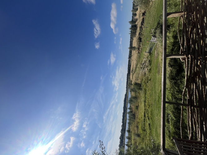 Vista desde una tiny house en Holiday park Eigen Wijze, Países Bajos, con campos y cielo azul despejado.