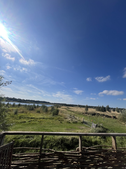 Udsigt fra en lille hytte ved Holiday park Eigen Wijze i Holland med grønne marker og en blå himmel.
