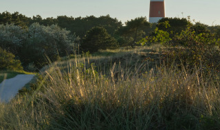 Paisaje cerca de Hollum, Frisia, Países Bajos, con un faro rojo y blanco destacado al atardecer.