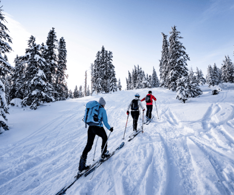 Drie mensen maken een skitocht door besneeuwde bossen bij Champagny-en-Vanoise in Frankrijk.
