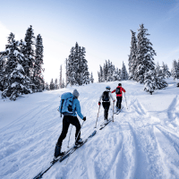 Trois personnes font du ski de randonnée en forêt enneigée près de Champagny-en-Vanoise, en France.