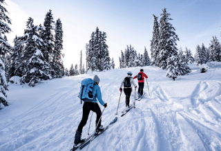 Tre personer på ski vandrer gennem sneklædt skov nær Champagny-en-Vanoise i Auvergne-Rhône-Alpes.