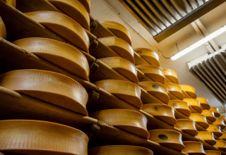 Grandi forme di formaggio che stagionano su scaffali a Les Chalets Huttopia Champagny, Auvergne-Rhône-Alpes.