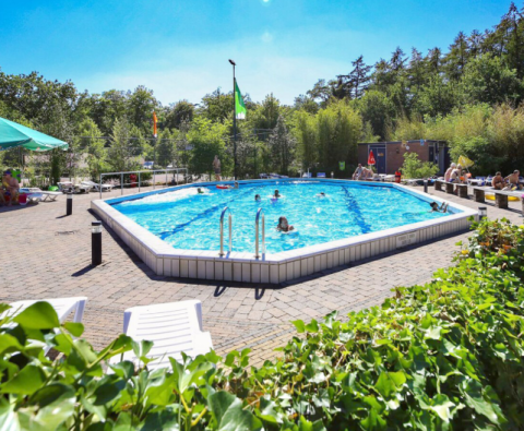 Udendørs swimmingpool i Vakantiepark Bonte Vlucht, Utrecht, Holland, omgivet af grønne træer og solbadende gæster.