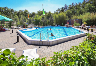Piscina exterior en Vakantiepark Bonte Vlucht, Utrecht, Países Bajos, rodeada de naturaleza y personas tomando el sol.