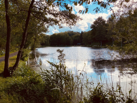 Lago tranquillo con rive erbose e alberi al Camping Reiler, parco vacanze nel Clervaux, Lussemburgo.