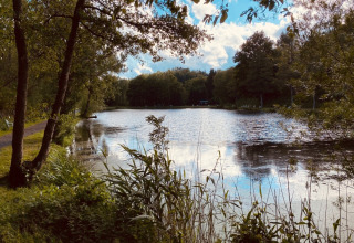Lago tranquillo con rive erbose e alberi al Camping Reiler, parco vacanze nel Clervaux, Lussemburgo.