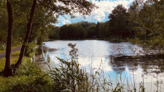 Lac paisible avec arbres et verdure au Camping Reiler, parc de vacances à Clervaux, Luxembourg.
