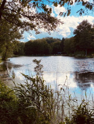 Ruhiger See mit Grün und Bäumen bei Camping Reiler, Ferienpark im Kanton Clervaux, Luxemburg.