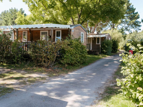 Außenansicht eines Comfort Stacaravan 29m² mit überdachter Terrasse, von Bäumen und Sträuchern umgeben auf dem Campingplatz.