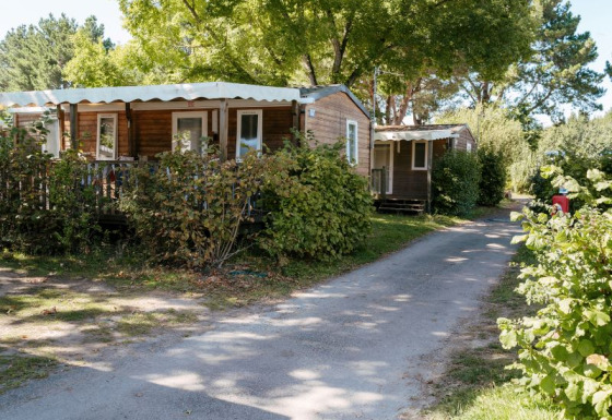 Outdoor view of Comfort stacaravan 29m² with covered terrace, surrounded by trees and bushes on a campsite.