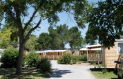 Sunny day at a mobile home park, with wooden cabins, trees, bushes, and a gravel path winding through.