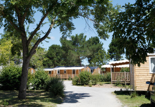 Día soleado en un parque de casas móviles, rodeado de árboles, arbustos y cabañas de madera.