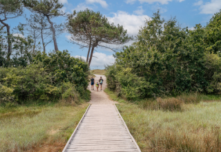 Houten wandelpad nabij Fouesnant, Bretagne, Frankrijk, met drie wandelaars richting bosrijke duinen.