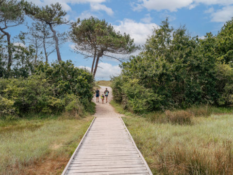 Sentier en bois près de Fouesnant en Bretagne, France, avec trois personnes marchant vers la forêt.