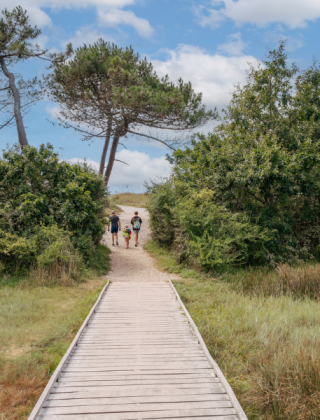 Houten wandelpad nabij Fouesnant, Bretagne, Frankrijk, met drie wandelaars richting bosrijke duinen.