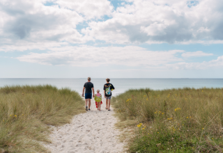 A family walks on a sandy path toward the sea through grassy dunes at Flower Camping Le Vorlen in Brittany.