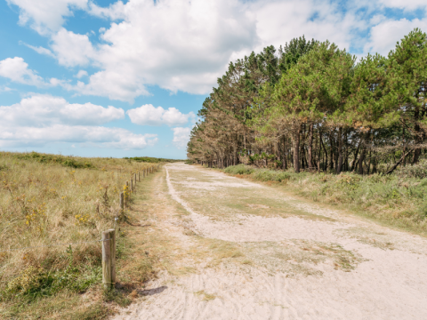 Zandweg tussen grasvelden en dennenbomen bij Flower Camping Le Vorlen in Bretagne, Frankrijk.