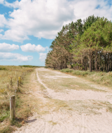 Zandweg tussen grasvelden en dennenbomen bij Flower Camping Le Vorlen in Bretagne, Frankrijk.