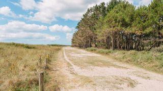 Zandweg tussen grasvelden en dennenbomen bij Flower Camping Le Vorlen in Bretagne, Frankrijk.