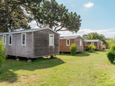 Standard wooden mobile home with 2 bedrooms and integrated terrace at Flower Camping Le Vorlen, France.