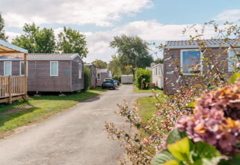 Casa mobile standard con tre camere da letto al Flower Camping Le Vorlen in Francia, immersa nel verde.