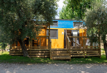 Tiny House met houten veranda en blauw dak, omgeven door bomen en groen in een rustige omgeving.